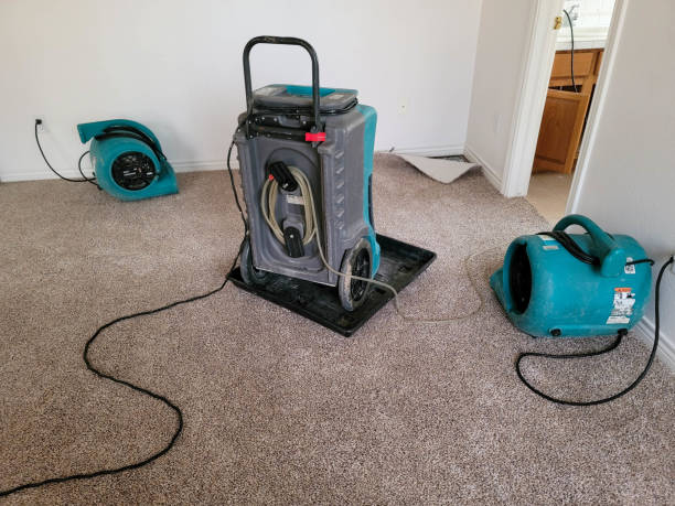 Professional Water damage restoration in Santa Rita Ranch, TX