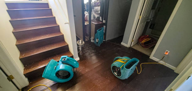 Best Flood damage cleanup  in Santa Rita Ranch, TX