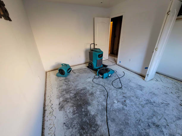 Carpet water damage restoration in Santa Rita Ranch, TX