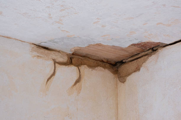 Best Water damage restoration near me  in Santa Rita Ranch, TX