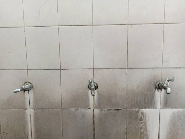 Carpet water damage restoration in Santa Rita Ranch, TX