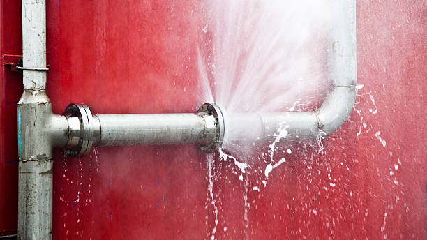 Best Local water damage restoration  in Santa Rita Ranch, TX